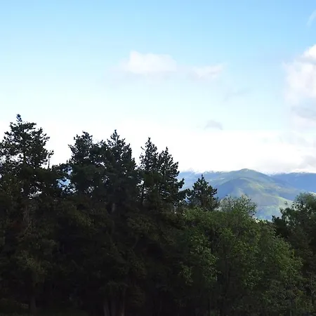 Joli Au Coeur De La Foret Avec Vue *